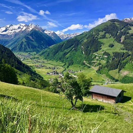 Hochalmbahnen 11w1, Bergahorn, Nahe Gondel Mit Wallbox
